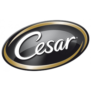 Cesar Cesar