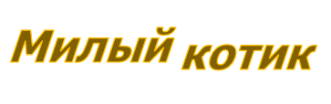 Милый котик Милый котик