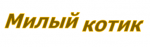 Милый котик