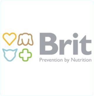 Brit Brit