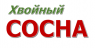 Сосна