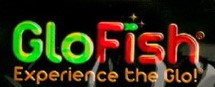 GloFish GloFish